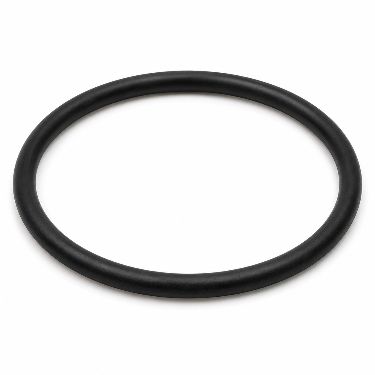 Generic filter housing O-ring gasket on a clean studio background