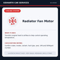 Radiator Fan Motor illustrative product guide